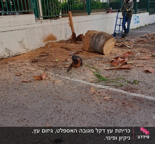אדם עם עגלת משא ליד גזע עץ כרות ומסור